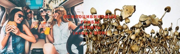 гидропоника Армянск