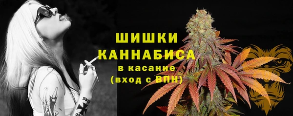 СК Арсеньев