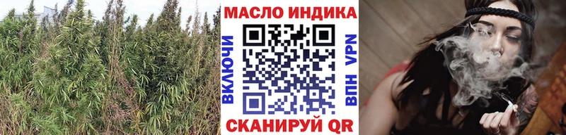 Купить  Ершов  ТГК концентрат 