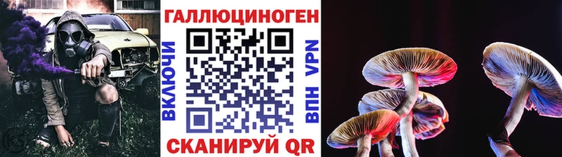 Купить  Ершов  Псилоцибиновые грибы Psilocybe 